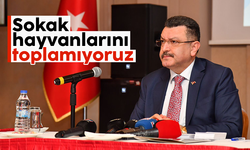 Ahmet Metin Genç; 'Sokak hayvanlarını toplamıyoruz'