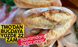 TMO buğdaya zam yaptı, ekmek fiyatlarına yansıması gündemde