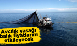 Karadeniz'deki avcılık yasağının fiyatlara yansıması bekleniyor