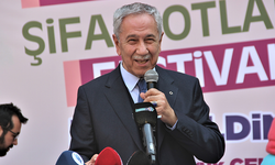Bülent Arınç: Evliya Çelebi bugünleri görse kahrından ölürdü