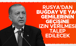 Erdoğan, Putin'le Türkiye'ye gelecek gemilerin geçişini görüşecek