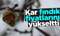Kar yağışı fındık fiyatlarını yükseltti