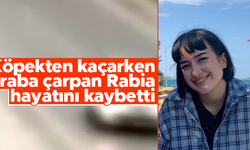 Isparta'da köpekten kaçarken otomobilin çarptığı Rabia, hayatını kaybetti