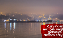 Rusya’dan ayçiçeği yağları gelmeye devam ediyor