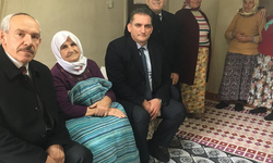 Trabzon Büyükşehir Belediyesi, asırlık çınarları unutmadı
