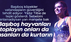 Yıldız Tilbe'den başıboş köpek çıkışı:  Başıboş hayvanları toplayın; onlar da kurtulsun insanlar da!
