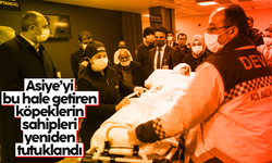 Minik Asiye’ye pitbull saldırısında tahliye edilen 3 sanık tekrar tutuklandı