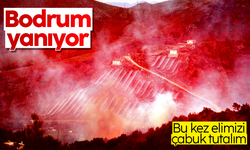 Bodrum'da ormanlık alanda yangın çıktı