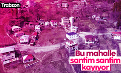 Trabzon'un Düzköy ilçesinin Çayırbağı mahallesinde toprak kayması tehditi