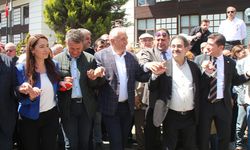 3 yıl hapsi istenen Fındıklı Belediye Başkanı Ercüment Çervatoğlu beraat etti