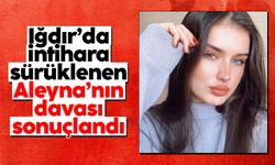 Aleyna Ağgül davasında karar çıktı: Gökhan Argın’a müebbet hapis cezası verildi