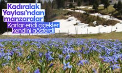 Trabzon'da Kadıralak Yaylası'ndan manzaralar...
