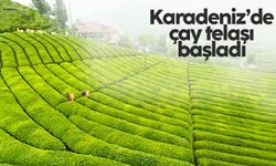 Doğu Karadeniz’i çay telaşı sardı