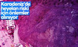 Karadeniz'de heyelan riski için önlemler alınıyor