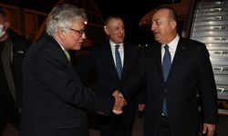 Mevlüt Çavuşoğlu, Brezilya'da
