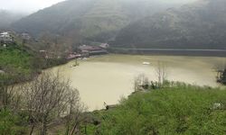 Trabzon'da bulunan Sera Gölü kirlilikle boğuşuyor