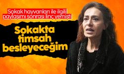 Yıldız Tilbe: Sokaklara, timsah, komodo ejderi ve sırtlan bırakacağım