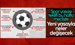 Spor Yasası bu hafta mecliste: Peki yeni yasa ile neler değişecek?
