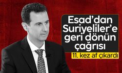 Suriye'de Esad, siyasi suçların da dahil olduğu genel af ilan etti