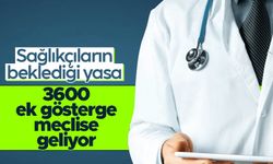 Sağlıkçılarla ilgili yasal düzenleme bu ay Meclis'te