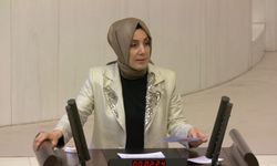 Bahar Ayvazoğlu TBMM'de konuştu: Çay konusunda popülist vaatlerle sanal beklentiler oluşturuyorlar