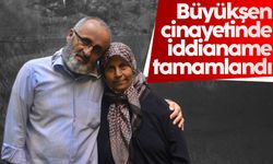 Büyükşen çifti cinayetinde sanıklar için istenilen ceza belli oldu