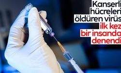 Kanserli hücreleri öldüren virüs ilk kez bir insanda denendi