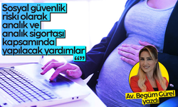 Av. Begüm Gürel: Sosyal güvenlik riski olarak analık ve analık sigortası kapsamında yapılacak yardımlar
