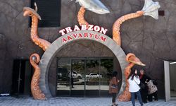 Trabzon'daki dev akvaryumda 'hamsi' detayı