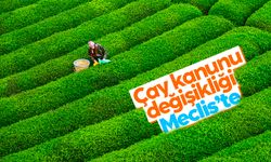 Çay Kanunu Değişikliği Meclis'te