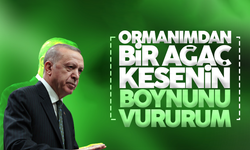 Cumhurbaşkanı Erdoğan: Ormanımdan bir ağaç kesenin boynunu vururum
