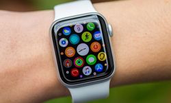 Apple Watch Series 8 hakkında yeni bilgiler