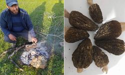 Bu mantarın kilosu 5 bin TL