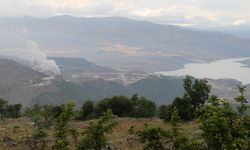 Erzincan'da çevre kirliliği yarattığı gerekçesi ile altın madeninin faaliyeti durduruldu