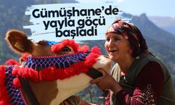 Gümüşhane’de yayla göçü başladı