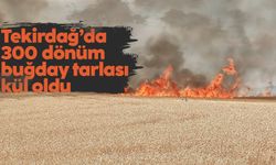 Tekirdağ’da 300 dönüm buğday tarlası alev alev yandı