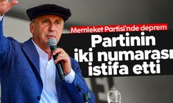 Gaye Usluer, Memleket Partisi'nden istifa etti