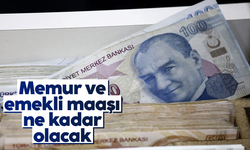 Memur ve emekli maaşları ne kadar olacak?