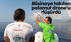 Misinaya takılan palamut drone'u düşürdü