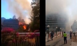 Marmaris'te çıkan orman yangını kontrol altına alındı