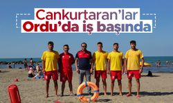 Ordu sahillerinde boğulma olaylarına anında müdahale ediyorlar