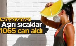 Portekiz'de sıcak hava dalgası 1065 kişinin ölümüne sebep oldu