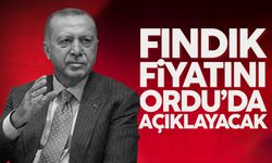 Cumhurbaşkanı Erdoğan bu yılın fındık fiyatını Ordu'da açıklayacak