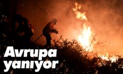 Avrupa, orman yangınlarıyla mücadele ediyor
