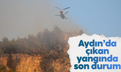 Aydın'da yangın söndürme çalışmalarında son durum
