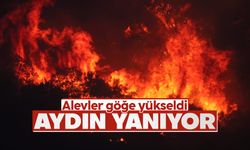 Aydın Söke’deki orman yangınında dev alevler göğe yükseldi
