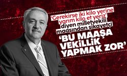 AK Partili Zülfü Demirbağ: "Bu maaşlarla vekillik yapılmaz"