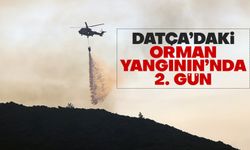 Datça’daki orman yangınında 2’nci gün