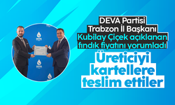 Kubilay Çiçek'ten fındık fiyatı yorumu: 'Üretici fındık kartellerine teslim edildi'