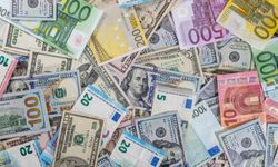 1 ABD Doları = 1 Euro